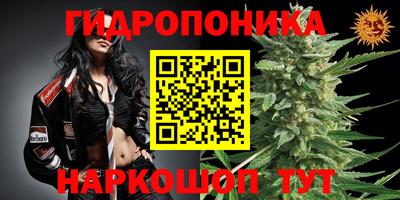jwh Славгород