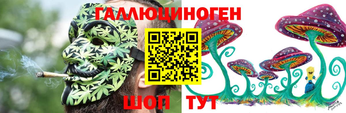 Галлюциногенные грибы Psilocybine cubensis  Галлюциногенные грибы мицелий  Петрозаводск  Вход с VPN 